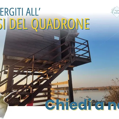 Il Giardino Dei Portici - Piano Terra In Centro Storico - Ground Floor - Free Public Parking - Air Conditioning - Wifi * Medicina (Emilia-Romagna)